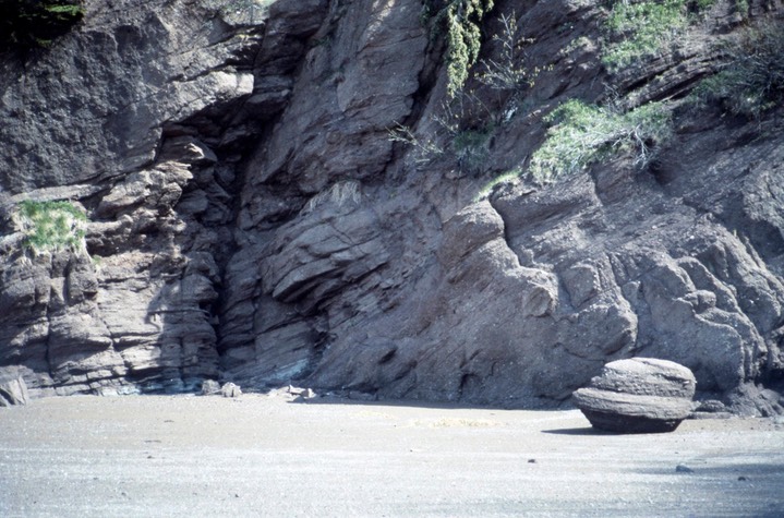 Hopewell Rocks616