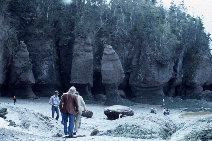 Hopewell Rocks618