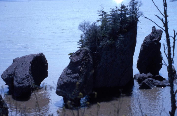 Hopewell Rocks640