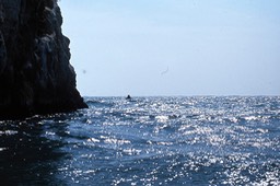 img739