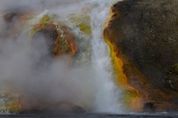IMG_4973