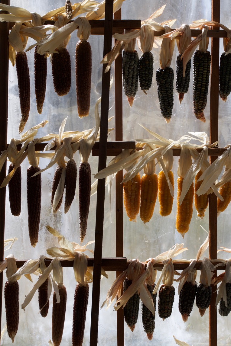 drying corn