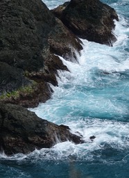 Little Tobago Island1