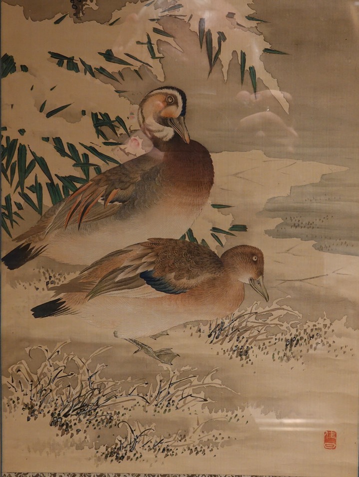 Mandarin Ducks In Snow 