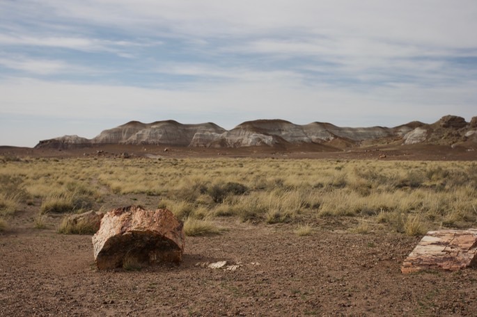 petrified-forest-national_med-14