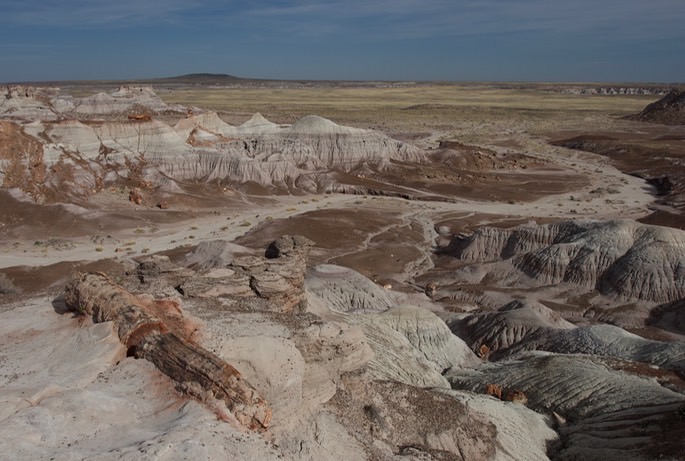 petrified-forest-national_med-2