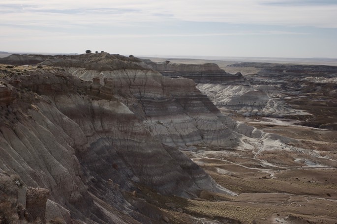 petrified-forest-national_med-6