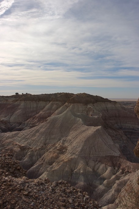 petrified-forest-national_med-46