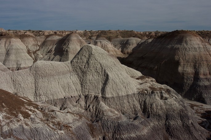 petrified-forest-national_med-41