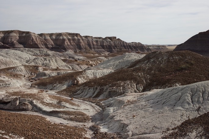 petrified-forest-national_med-44