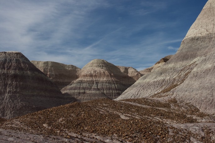 petrified-forest-national_med-45