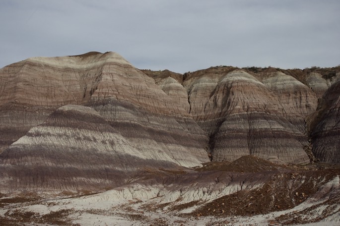 petrified-forest-national_med-40