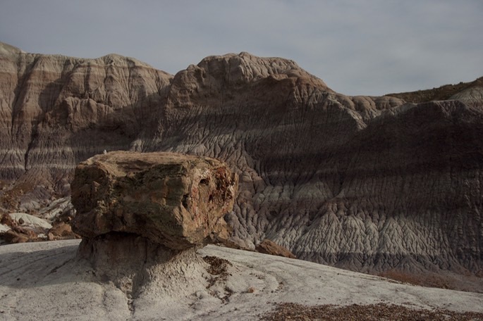 petrified-forest-national_med-38