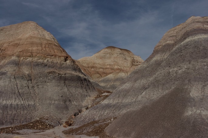 petrified-forest-national_med-39