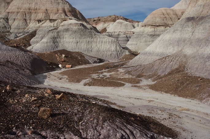 petrified-forest-national_med-34