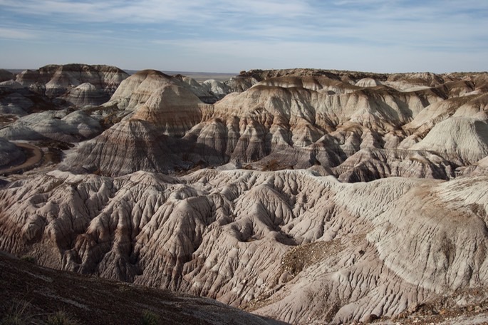 petrified-forest-national_med-30