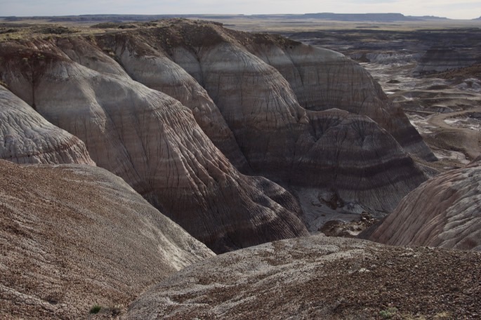 petrified-forest-national_med-31