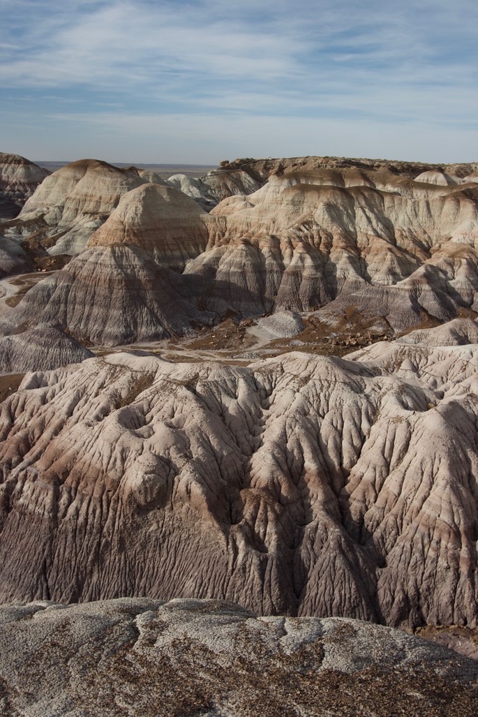 petrified-forest-national_med-32