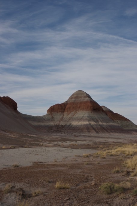 petrified-forest-national_med-59