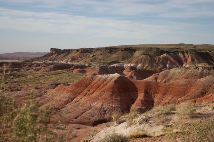 petrified-forest-national_med-55