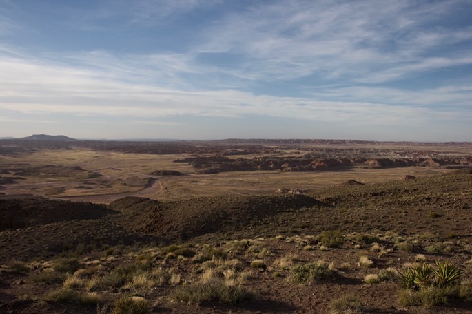 petrified-forest-national_med-56