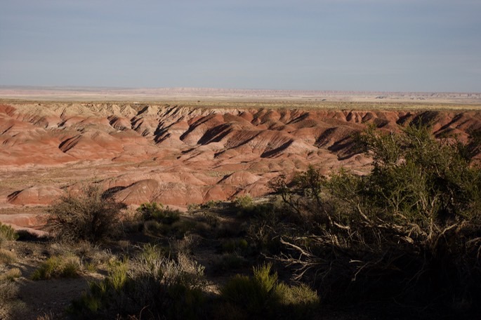 petrified-forest-national_med-57