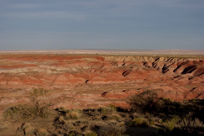 petrified-forest-national_med-58