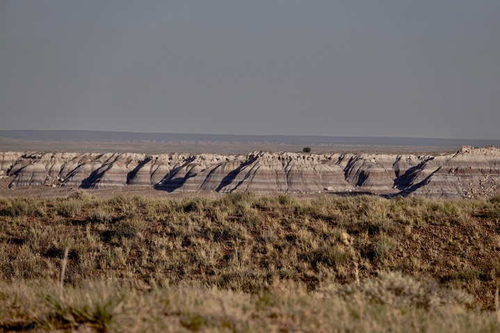 Petrified Forest National Parkk