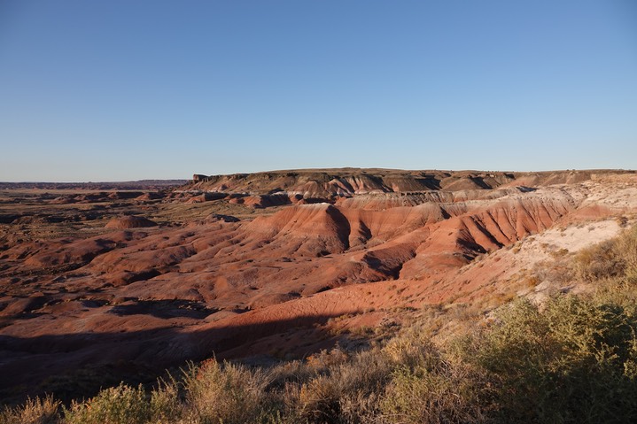 Petrified Forest National Parko