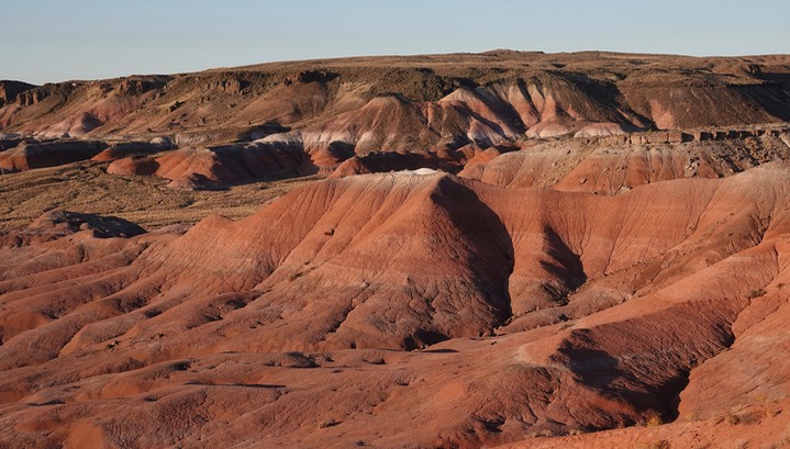 Petrified Forest National Parkp