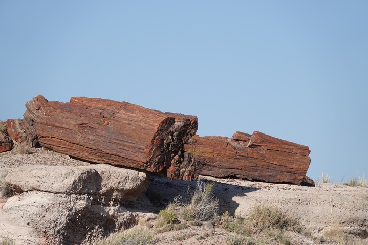 Petrified Forest National Park2019a