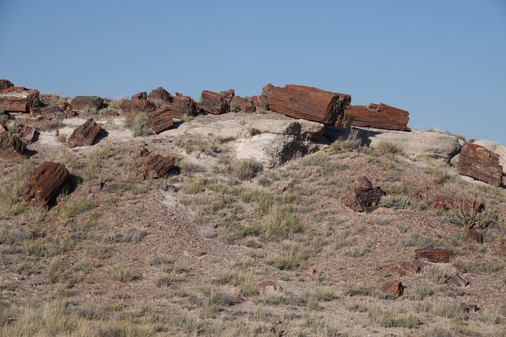 Petrified Forest National Park2019b