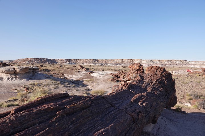 Petrified Forest National Park2019e