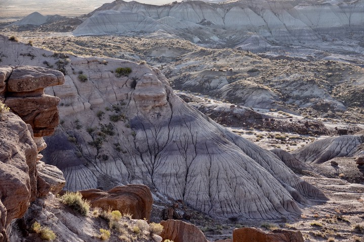 Petrified Forest National Park, Arizona