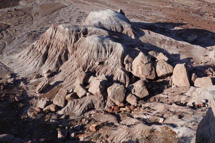 Petrified Forest National Parkh