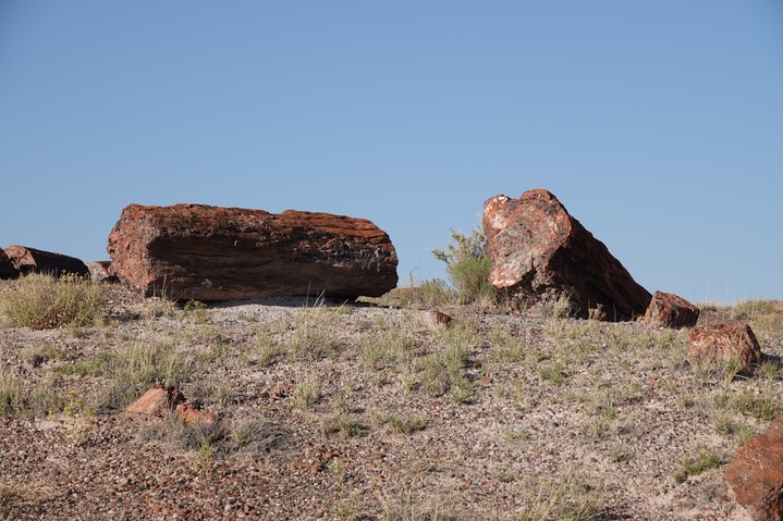 Petrified Forest National Park2019c