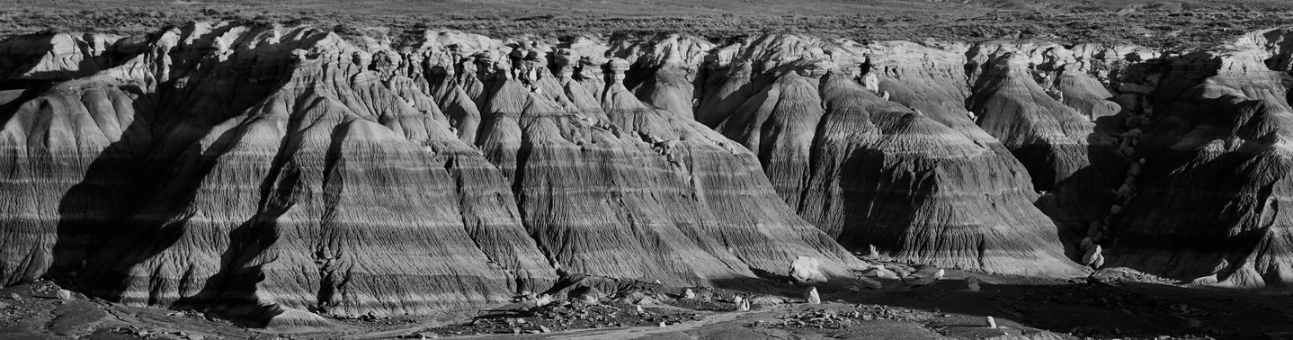 Petrified Forest National Parkn