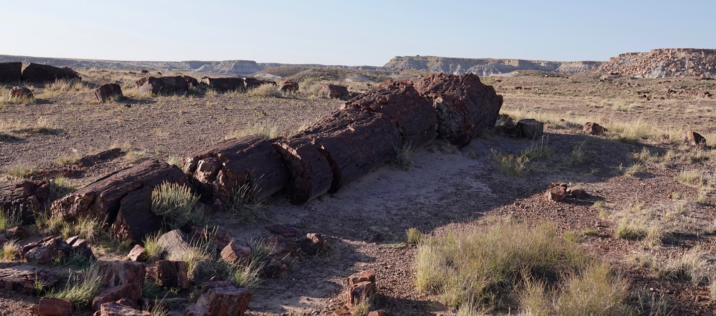 Petrified Forest National Park2019d