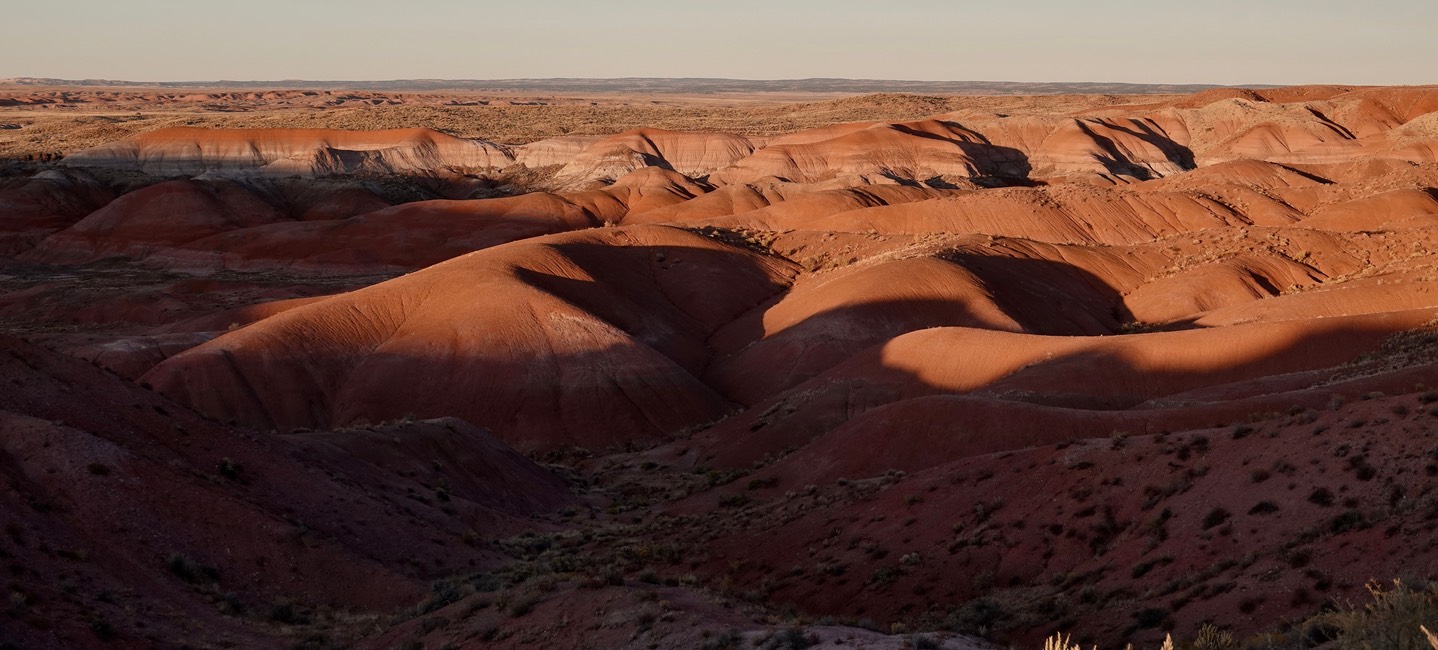 Petrified Forest National Park6