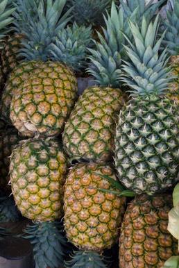 Pineapple - Panama