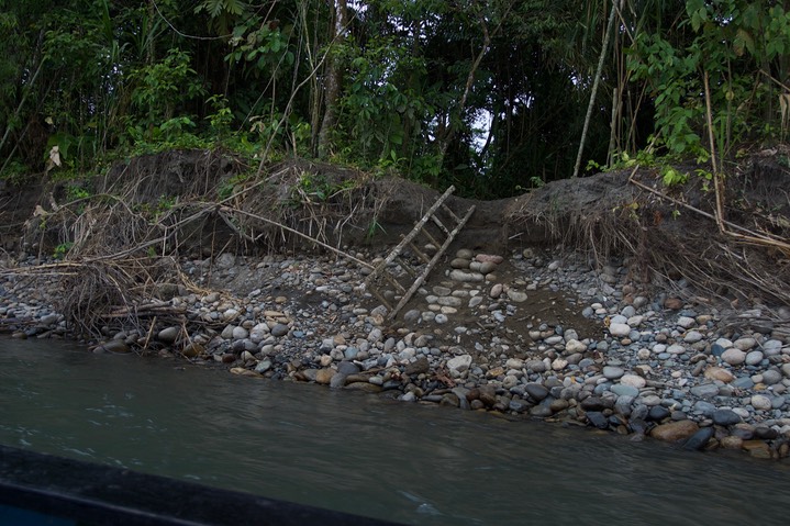 Río Madre de Dios10