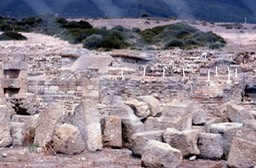 Ruina Bella de Romana299
