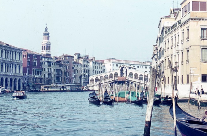 venice631