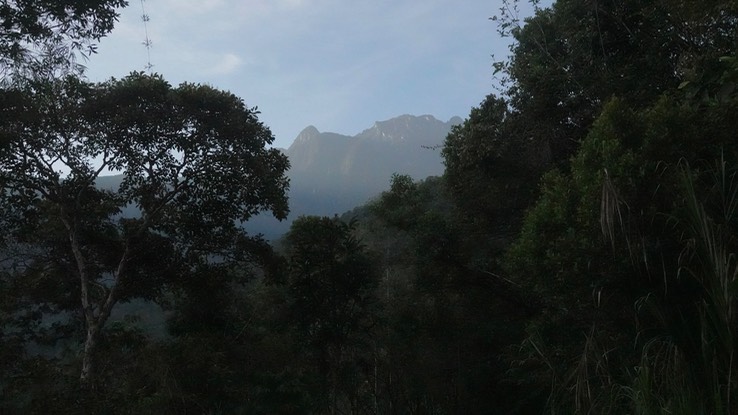 View of Cerro Tatama